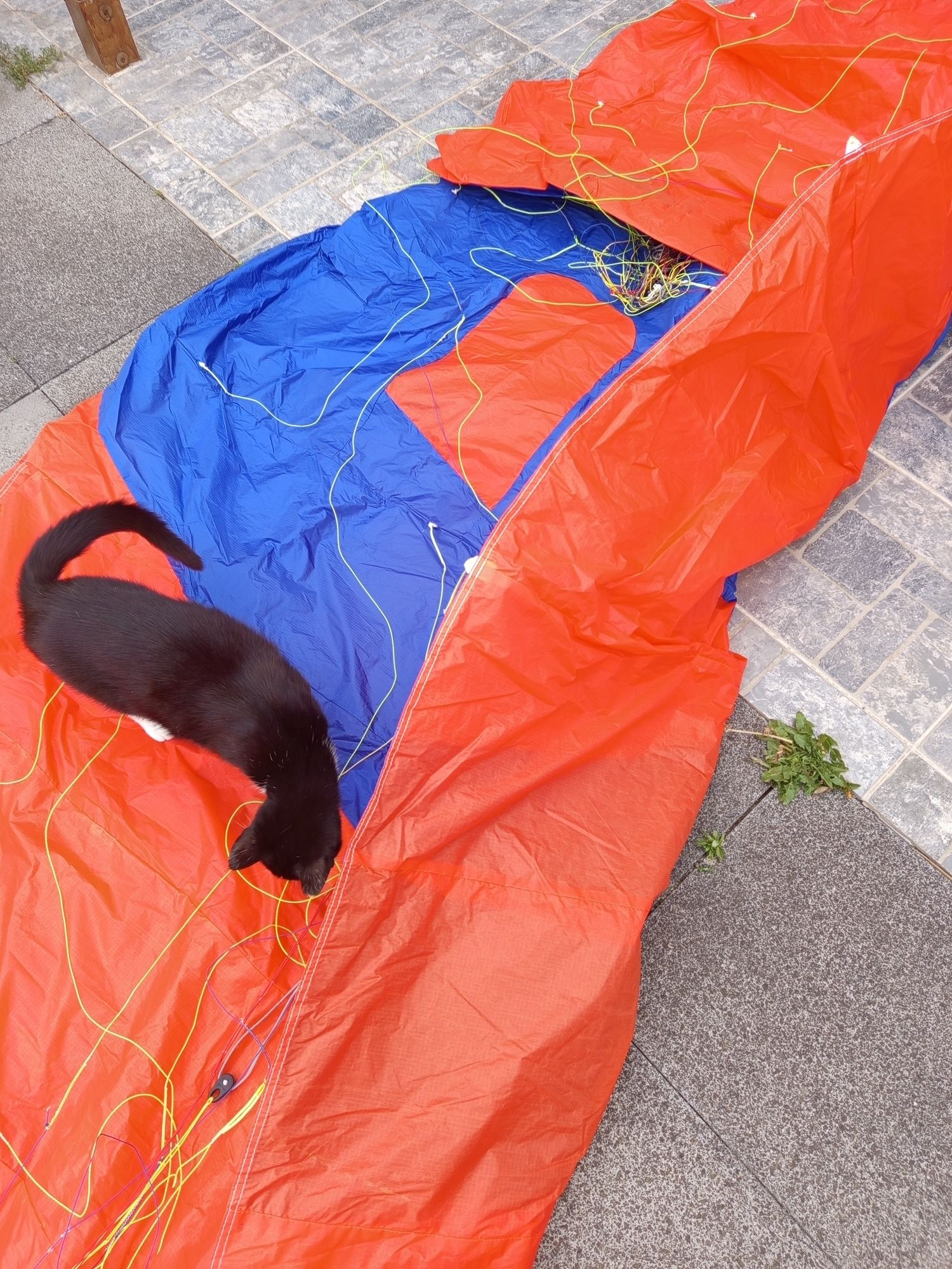 Kite foil 8 m novo