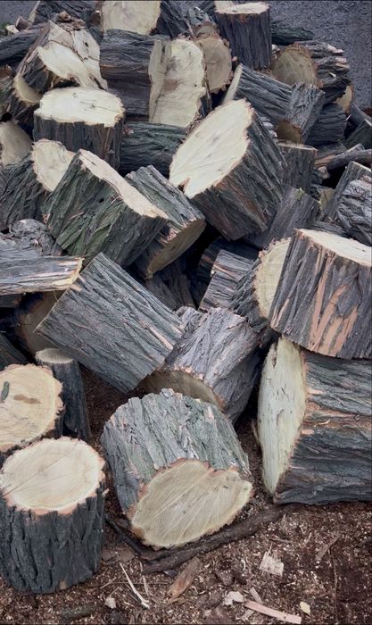 Дрова твердых пород КОЛОТЫЕ