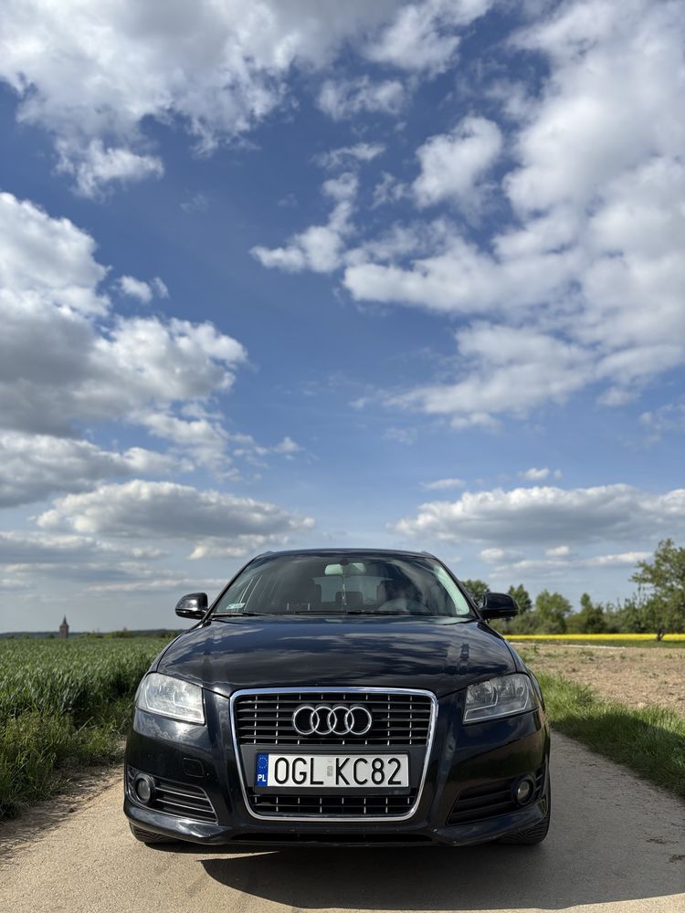 Audi A3 8P 2.0 TDI 140 KM | Panorama | Skóry | Zadbany | 2008 r.