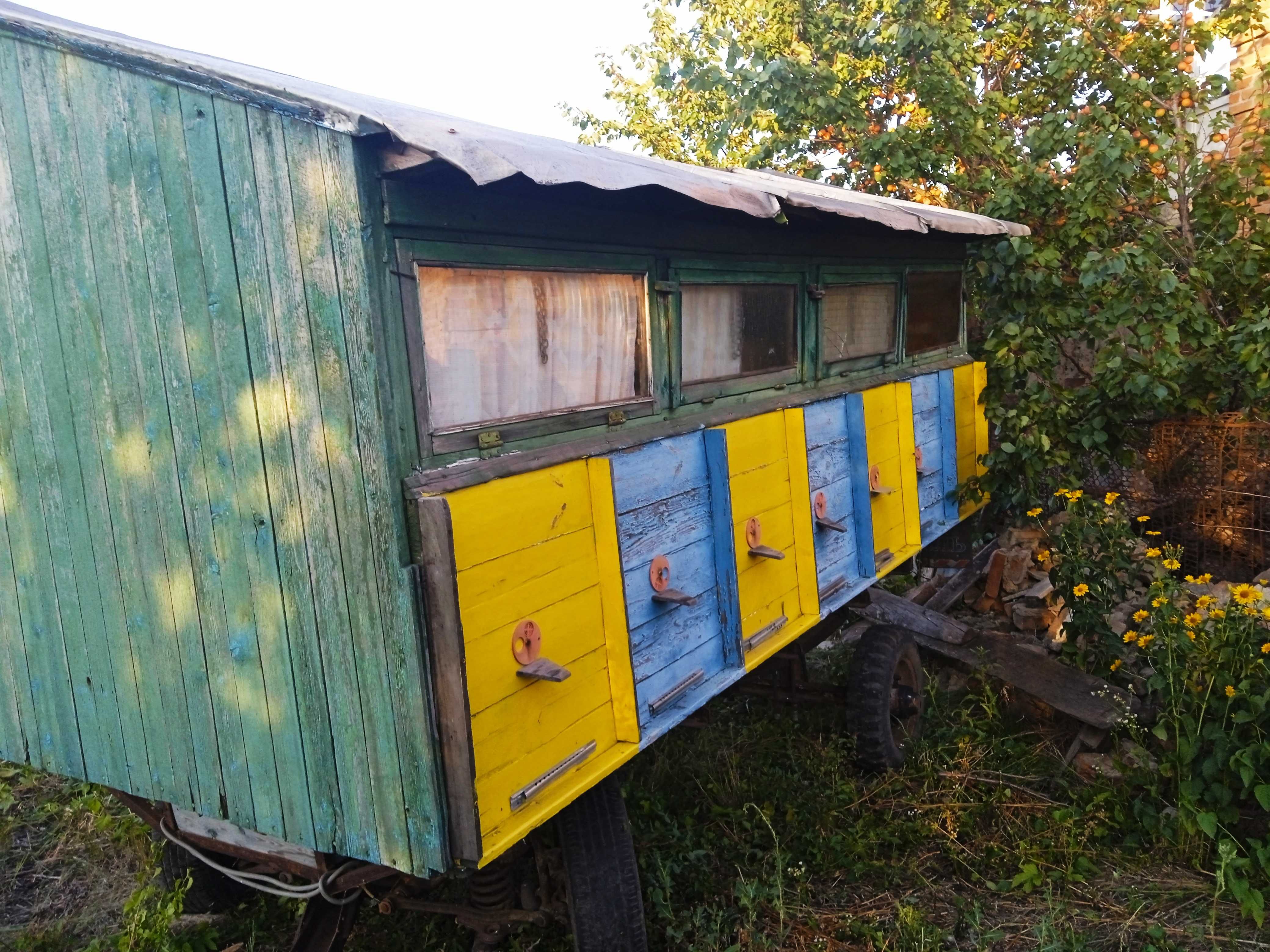 Прожам бджолопавільйон