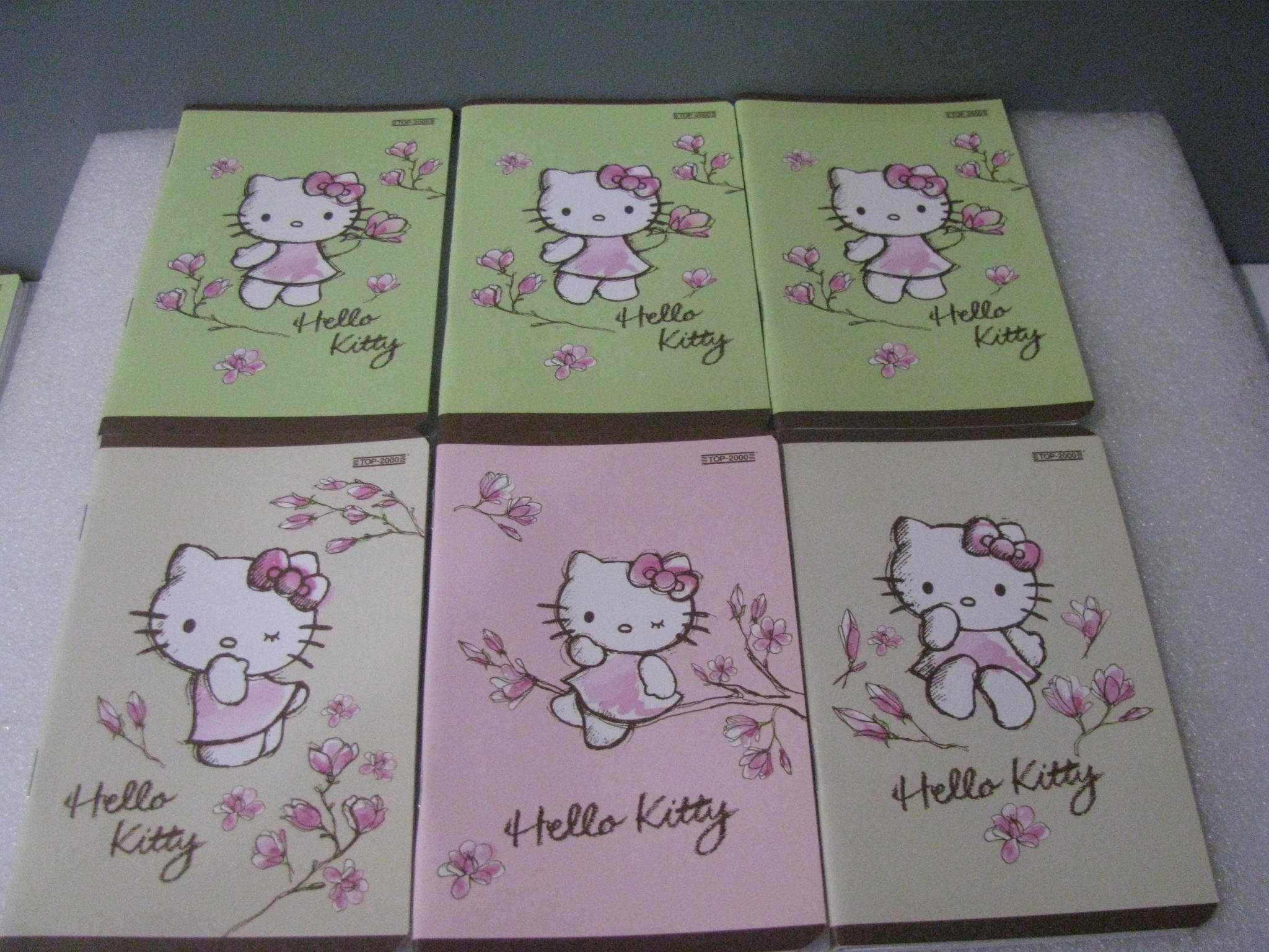 zestaw notesów 6szt mix A6 w kratkę 32 kartkowe Hello kitty