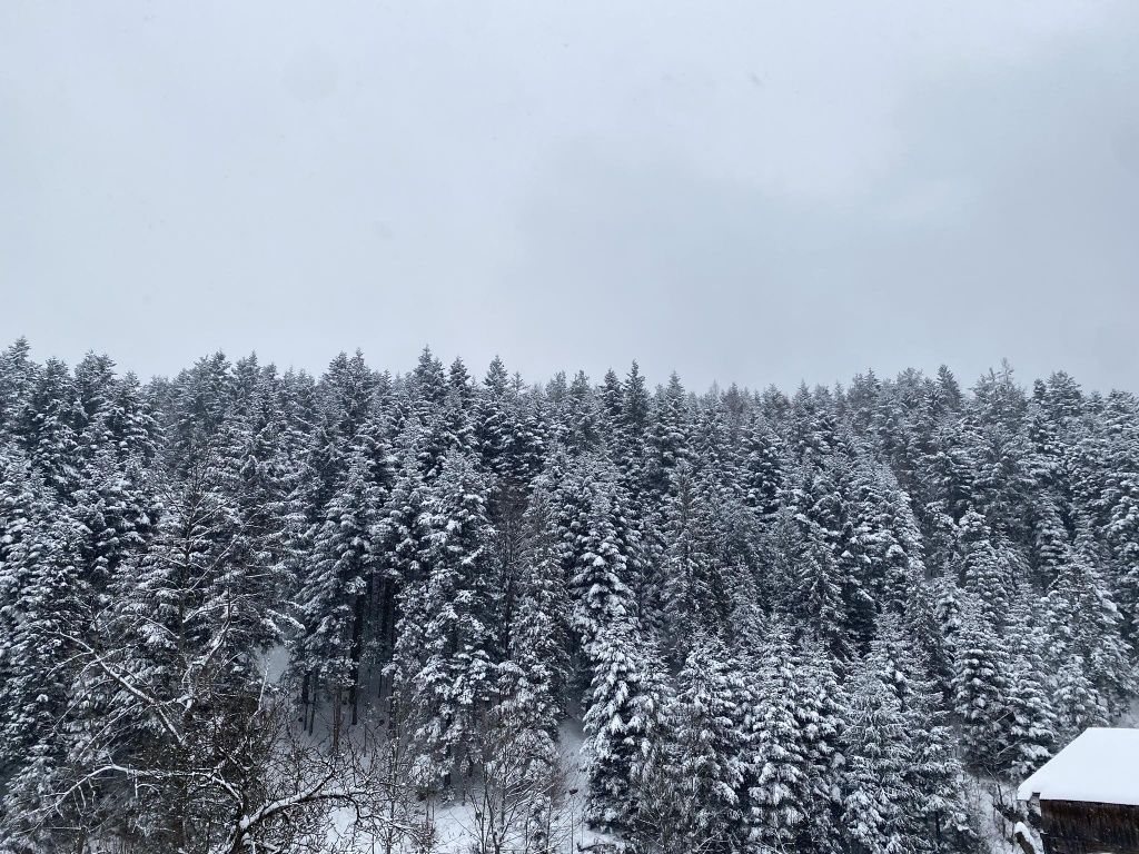 Drewniany domek w górach w pobliżu Zawoi, weekend , ferie w górach