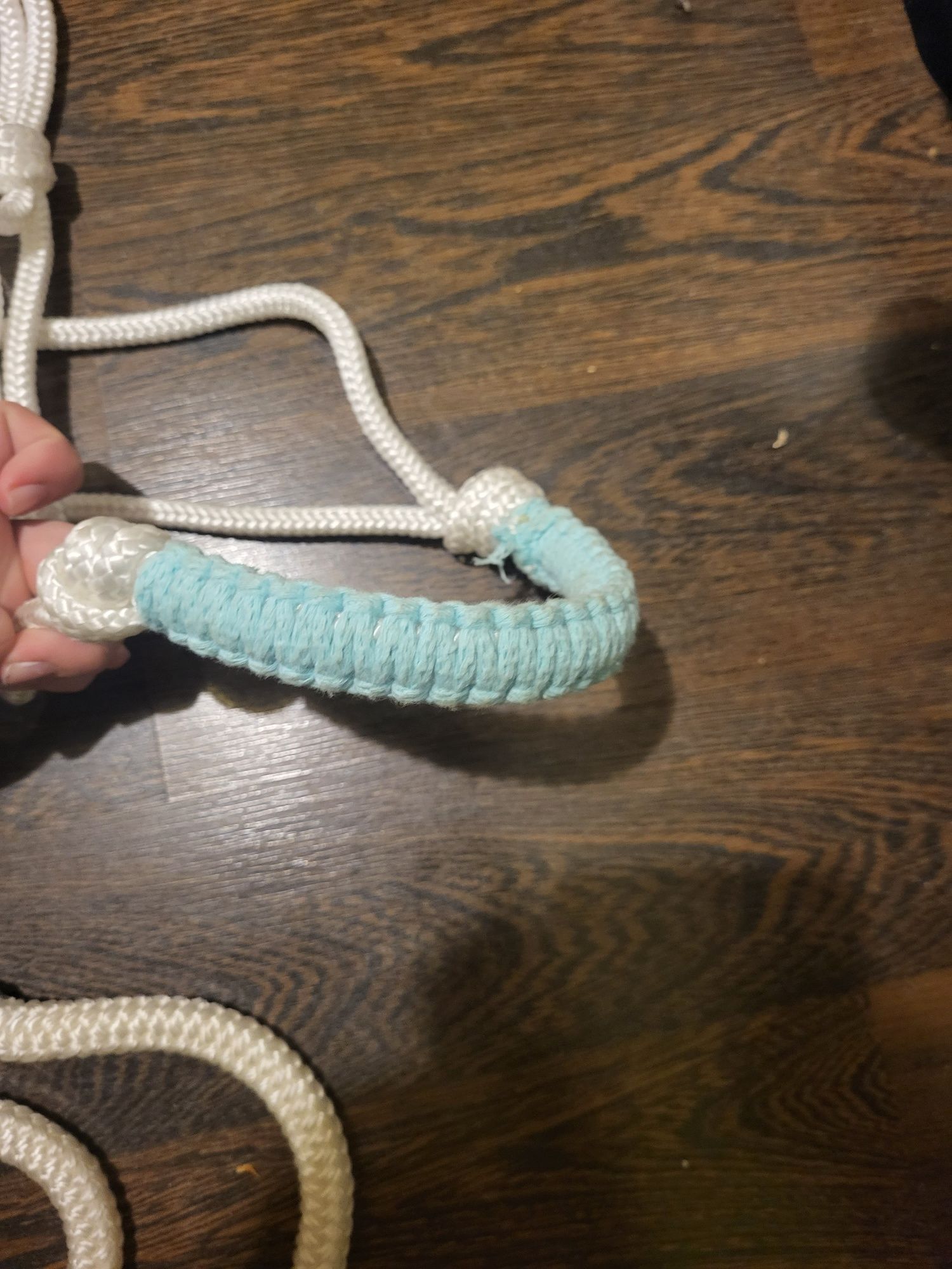 Sprzedam halter z wodzami
