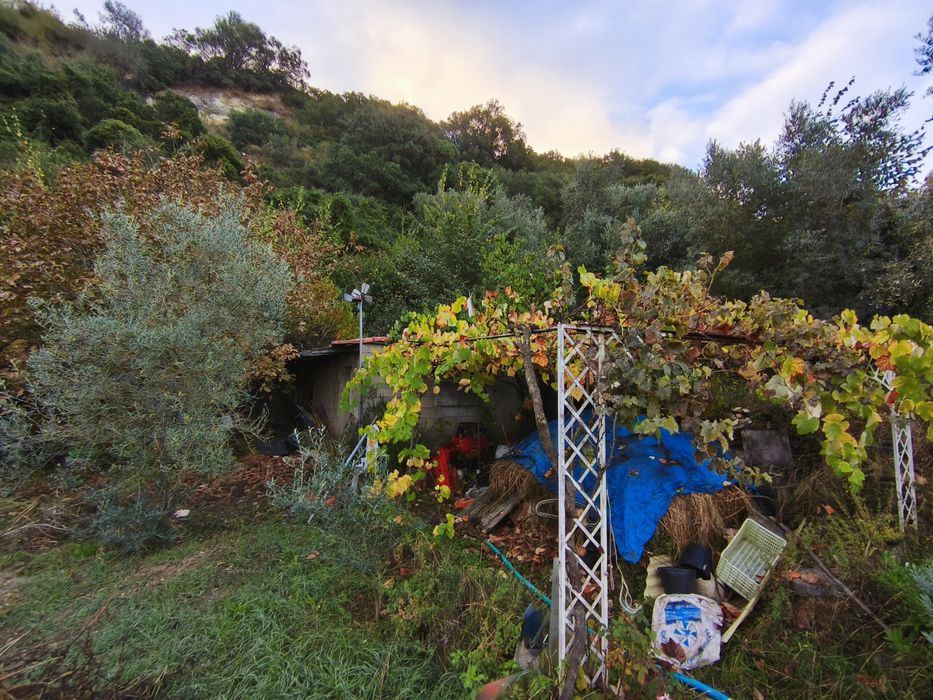 Quintinha às portas de Lisboa