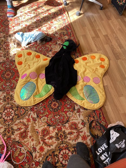 Для школярів/ костюм метелика