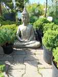 Figura betonowa Budda
