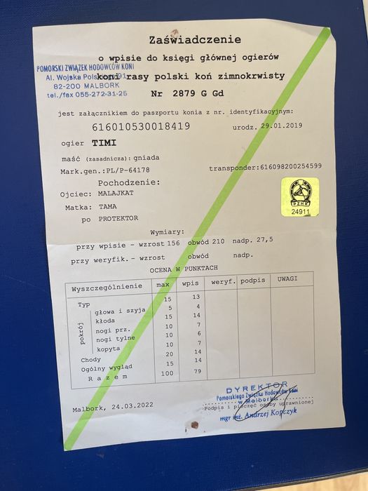 mam na sprzedaz ogiera  zimnokrwistego typ sztumski