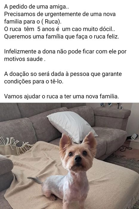 Doação urgente  .