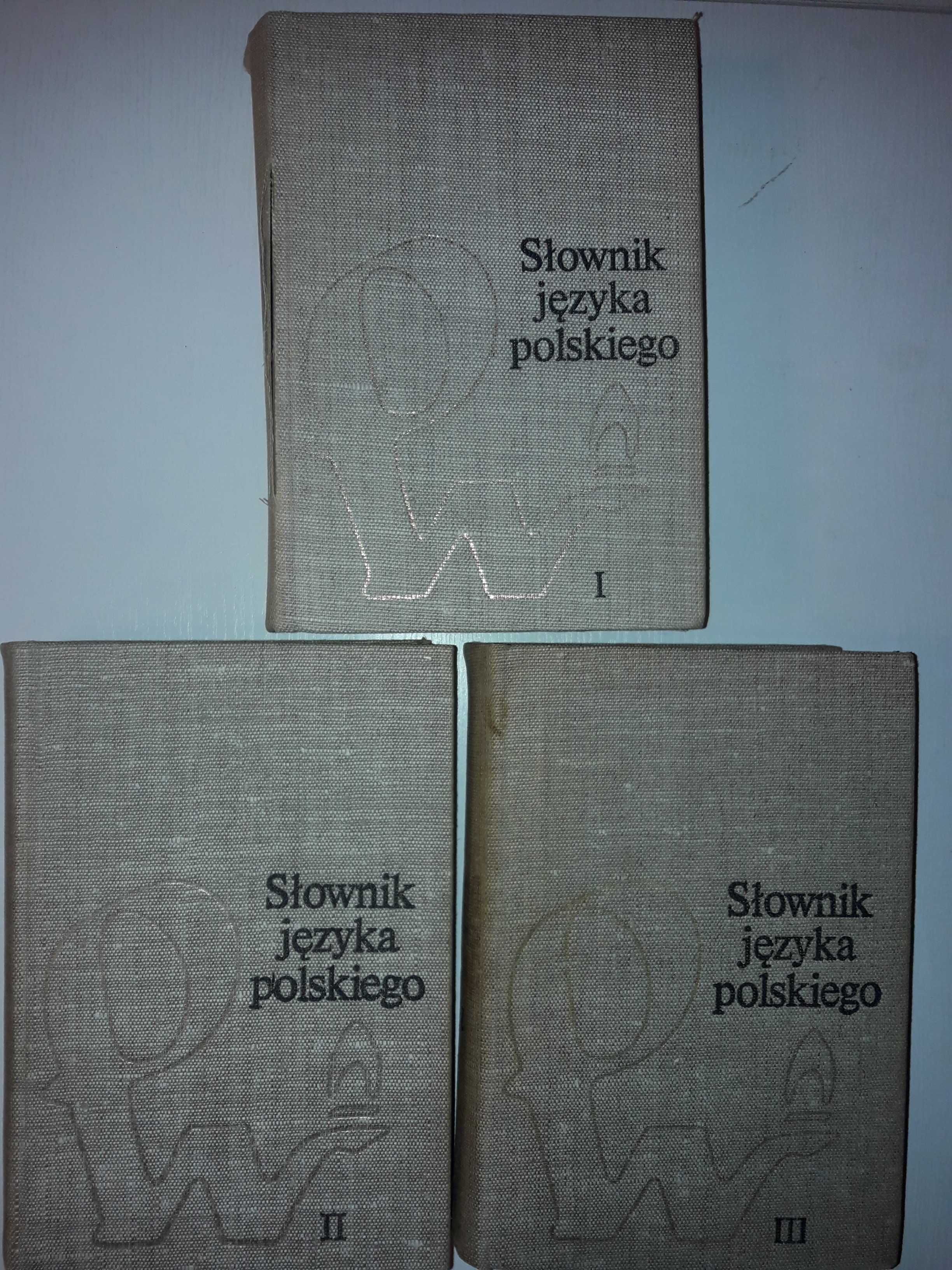 Słownik Języka Polskiego PWN tom 1-3 A-Ż (komplet) - M. Szymczak