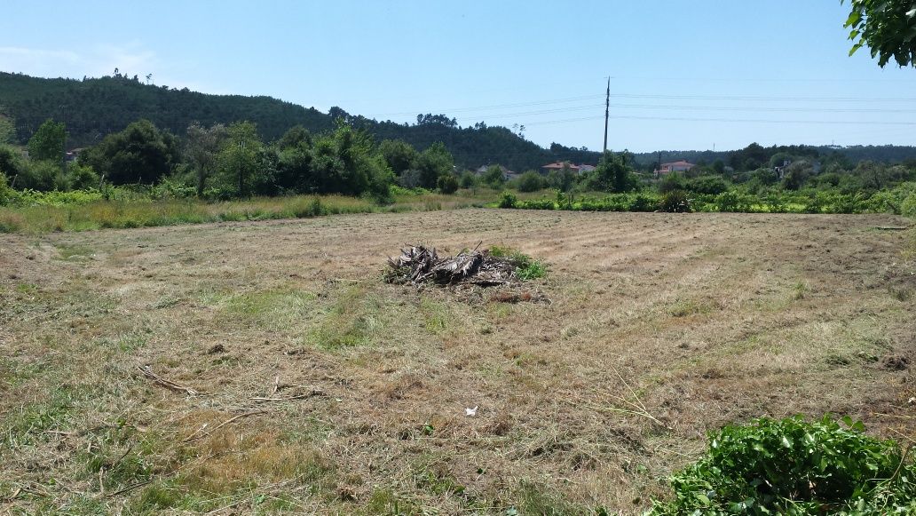 Vende-se terreno agrícola