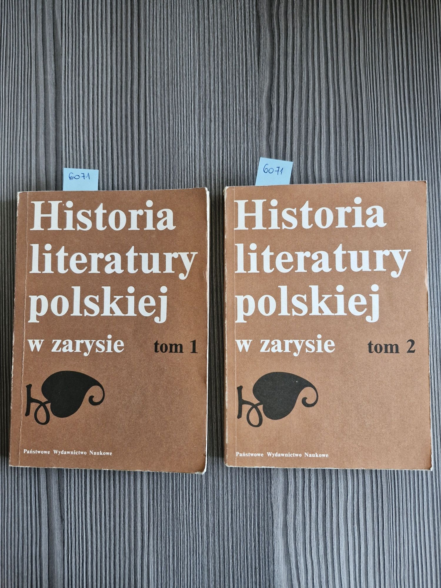 6071. "Historia literatury polskiej w zarysie" Tom I, Tom II