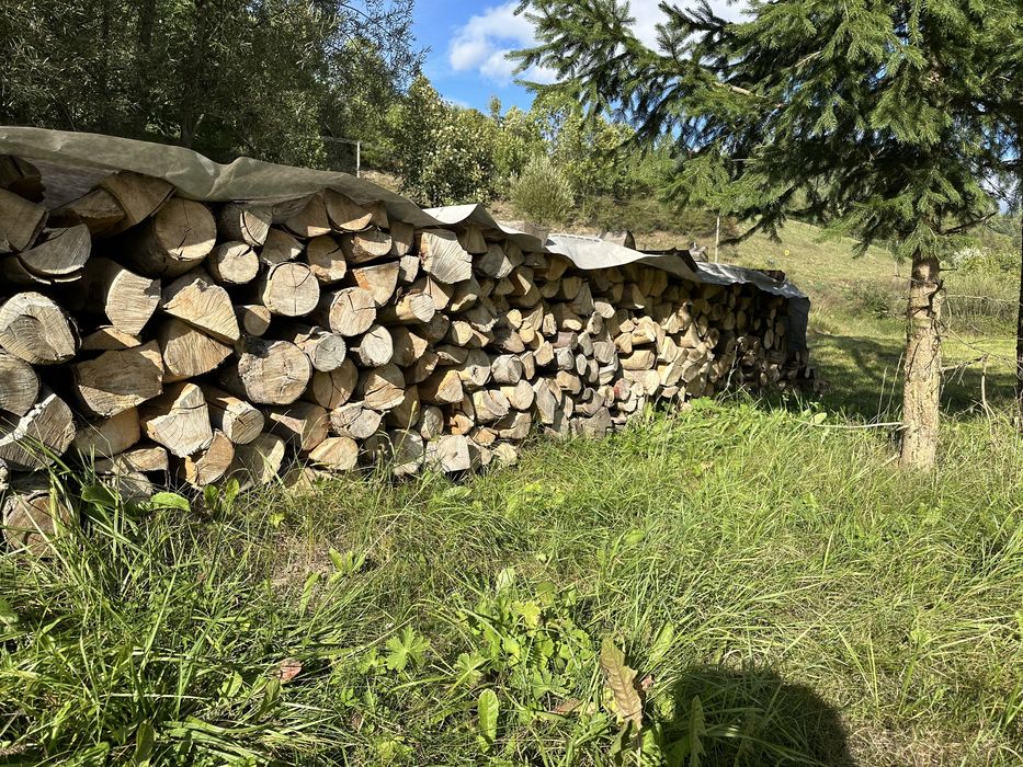 Sprzedam buka drzewo opałowe sezonowane