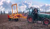 Wyorywacz kombajn do drzewek Lauwers boro , robot  szkółkarski krzewów