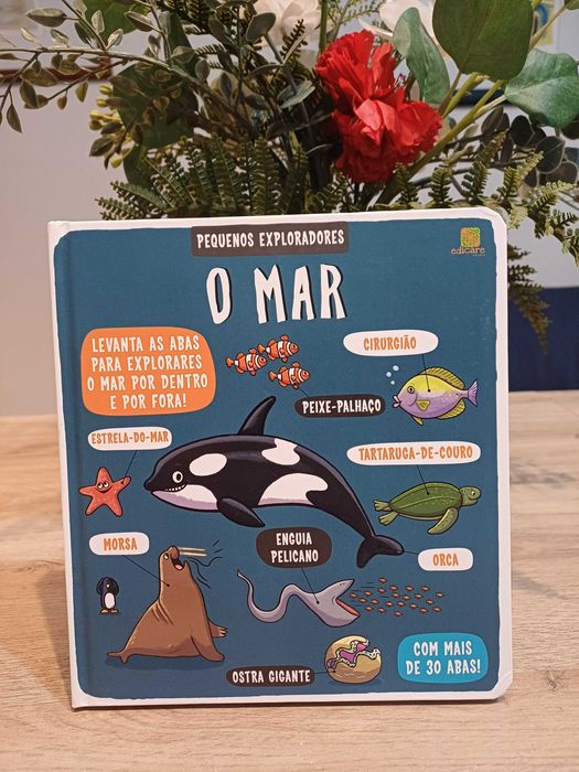 O Mar - Pequenos Exploradores