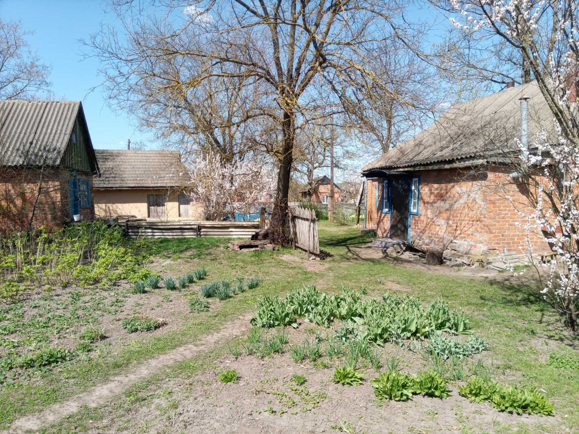 Будинок у с.Сенча Сенчанська громада Миргородський район