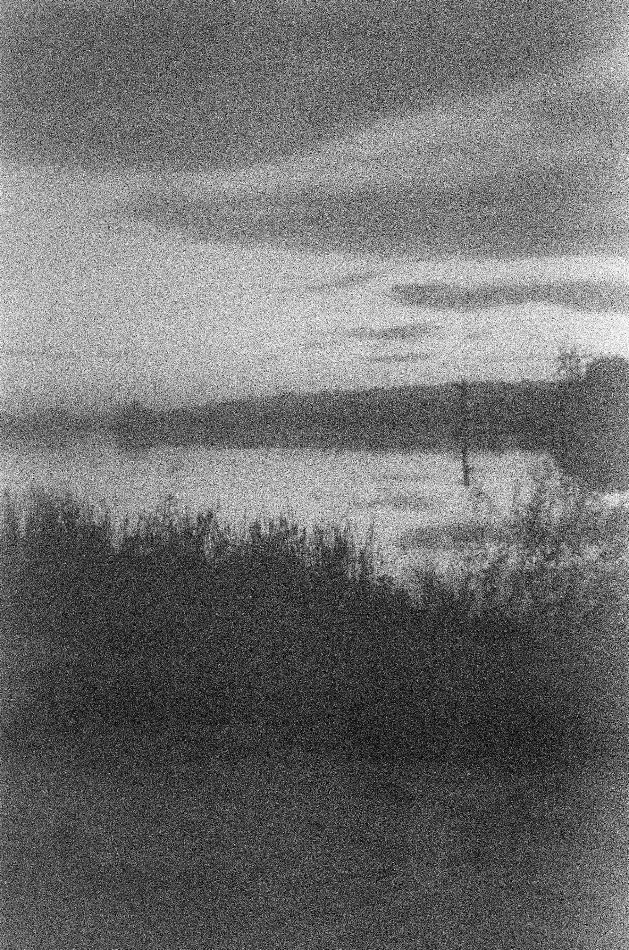 Ilford DELTA 3200 Professional (ч/б, тип 120, просрочка 2005)