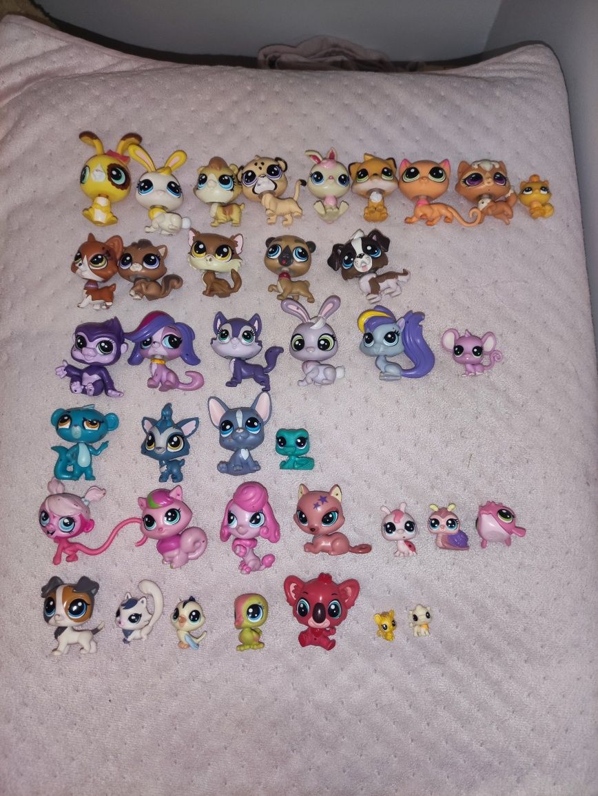 Littlest pet shop