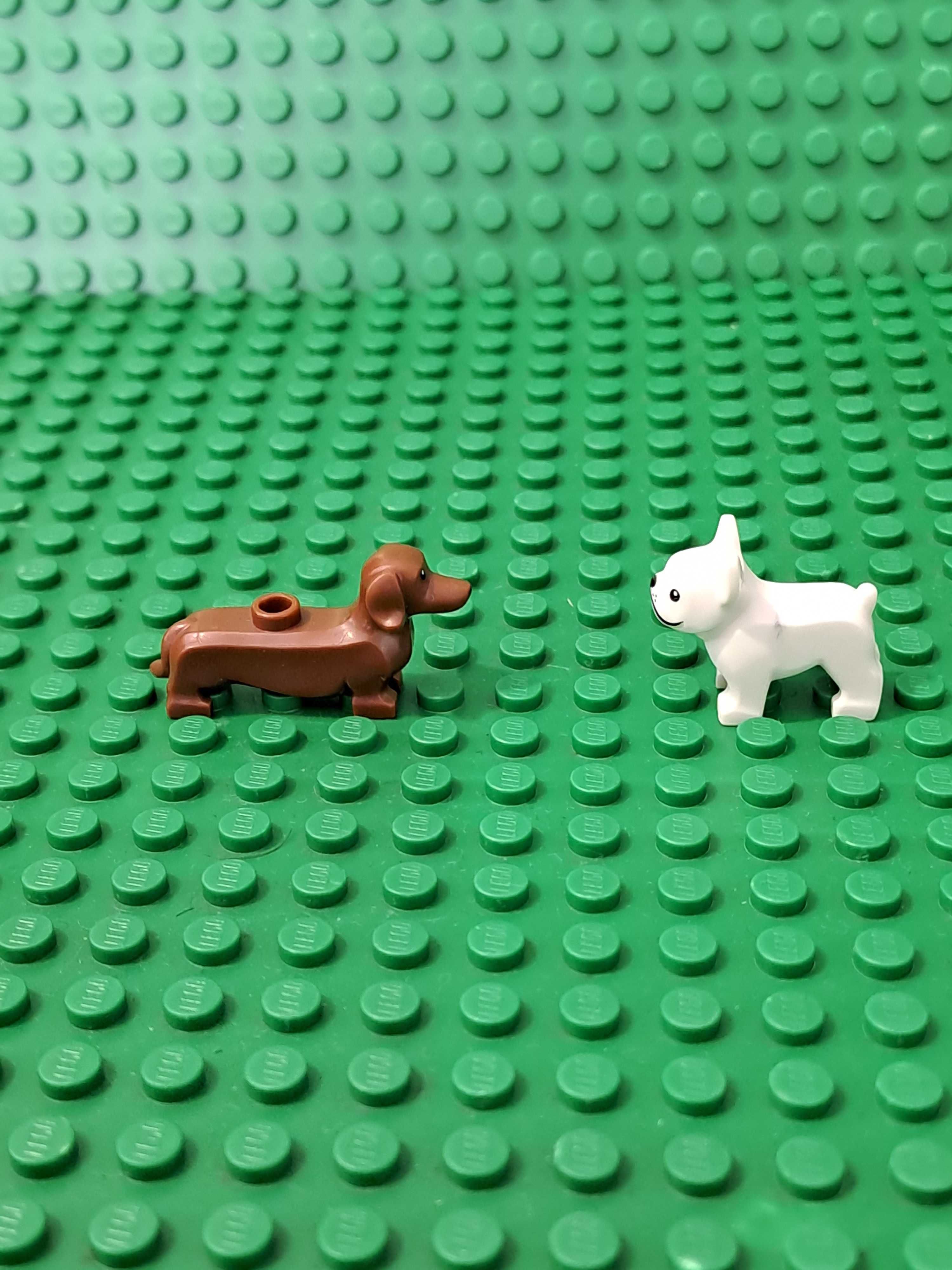 Lego . Psy do minifigurki opiekunka psów.   Seria 19.