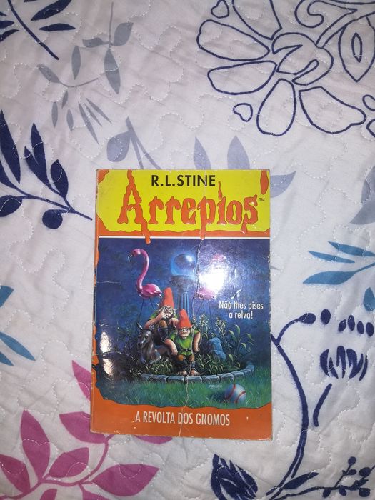 Livros: sonhos realizados, o segredo do castelo de lua e arrepios
