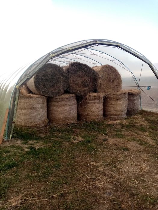 Sprzedam Siano 120x120