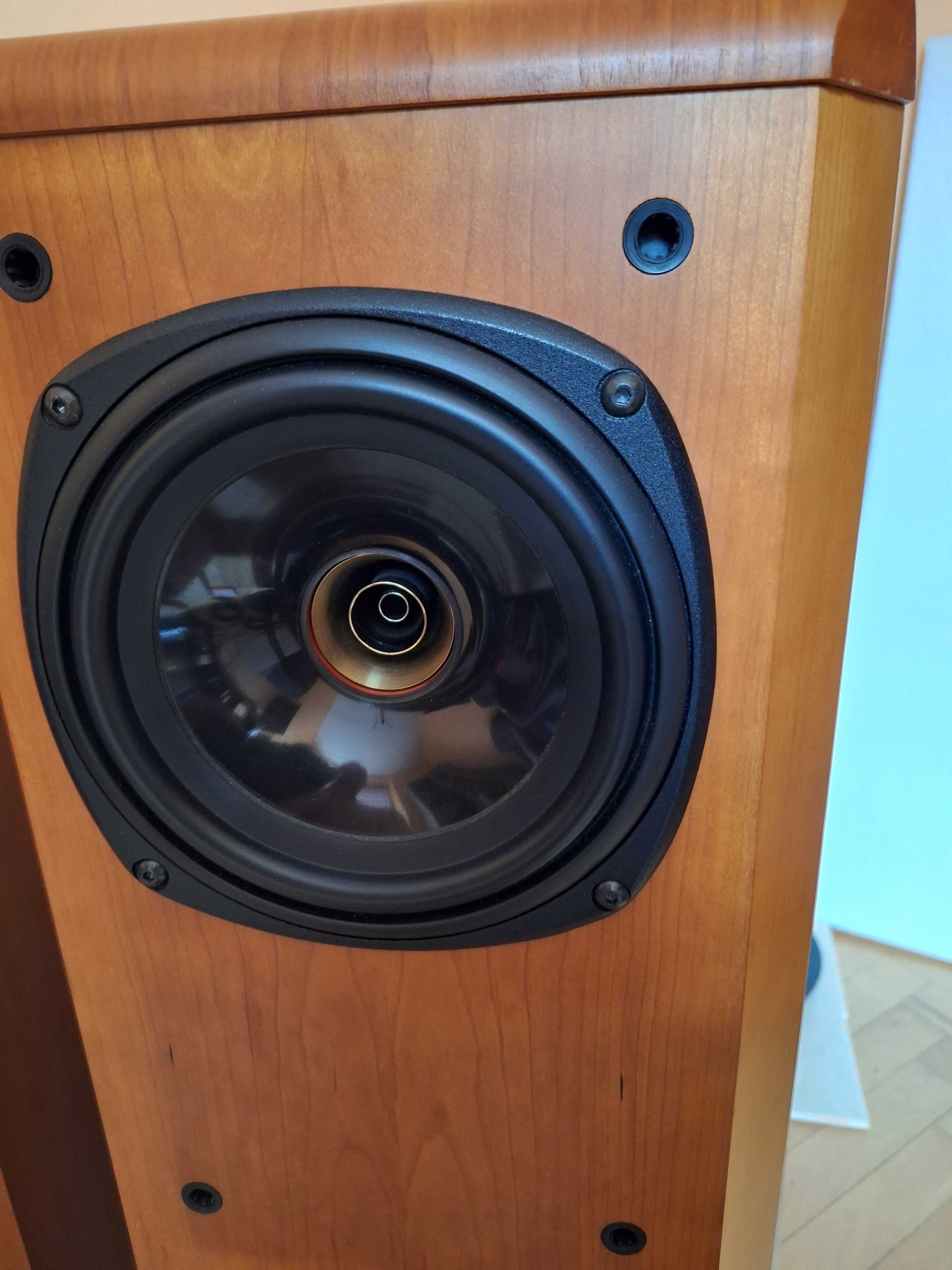 kolumny TANNOY D300