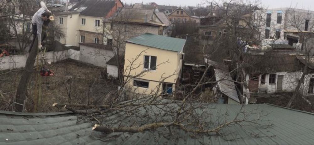 Спиливание деревьев, аварийное удаление, срезать дерево альпинистом