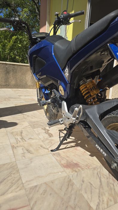 Honda msx 125 grom