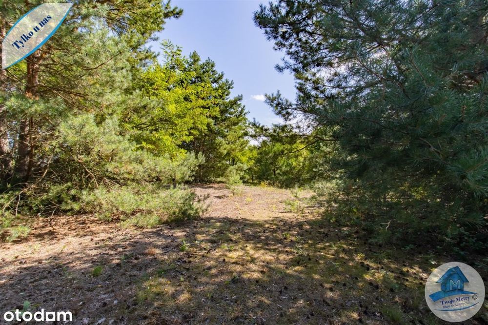 Blisko miasta i natury – działka z potencjałem!