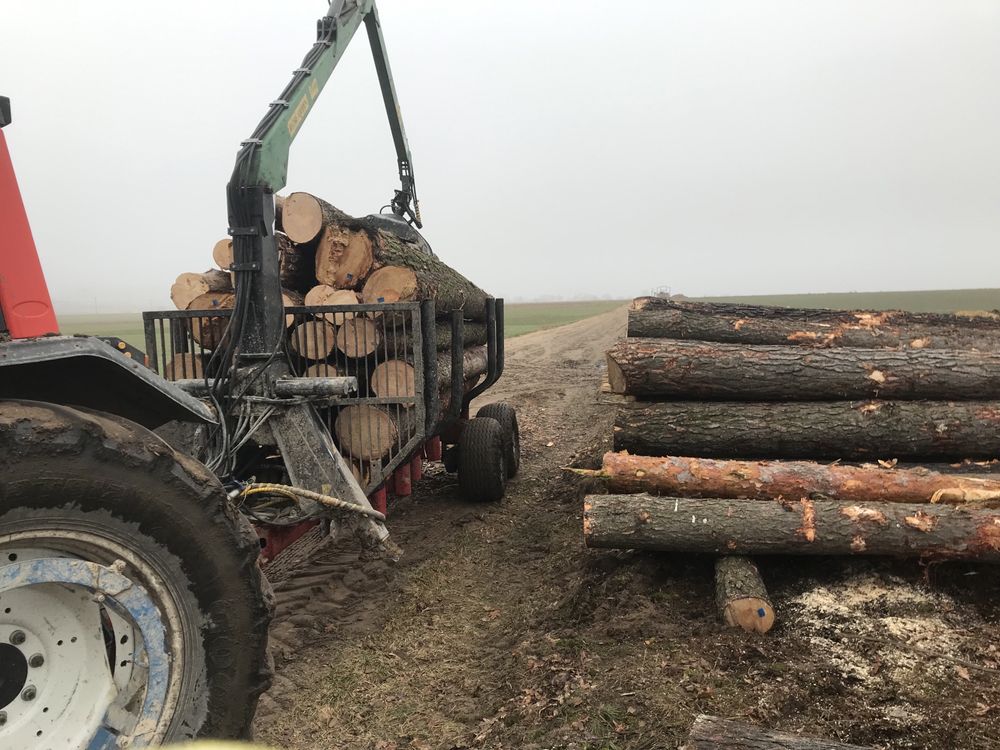 Koszenie łąk bagien torfów usługi mulczerem usługi leśne