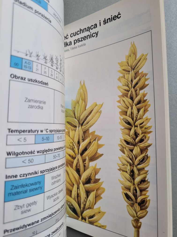 Choroby grzybowe w uprawach zbóż - Książka