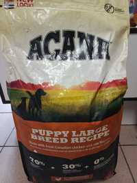 Acana puppy dla dużych ras  16 kg