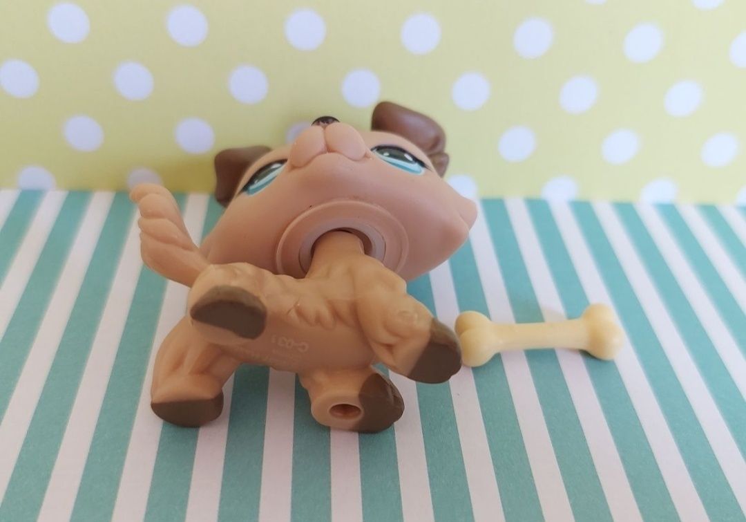 Littlest Pet Shop LPS unikatowy pies Collie #893 pop