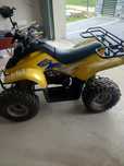 Quad dinli T-REX 100