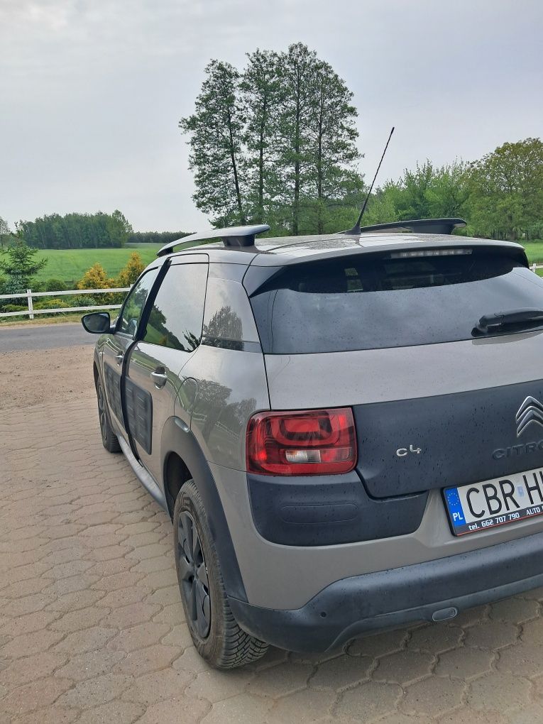 Citroen C4 cactus