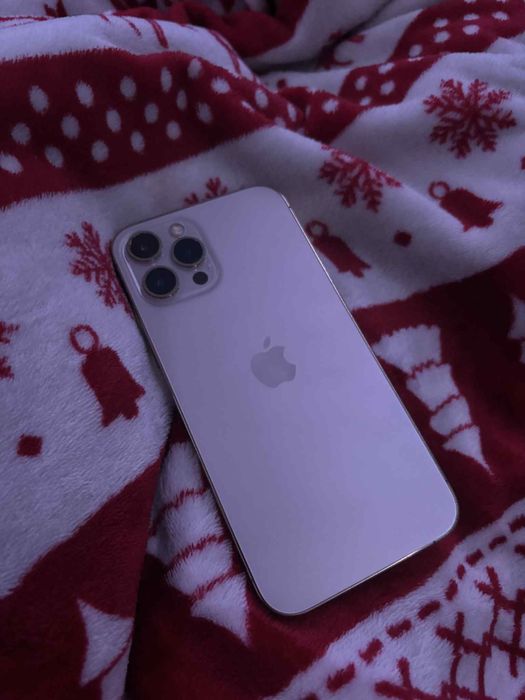 iPhone 12 Pro Max 512Gb