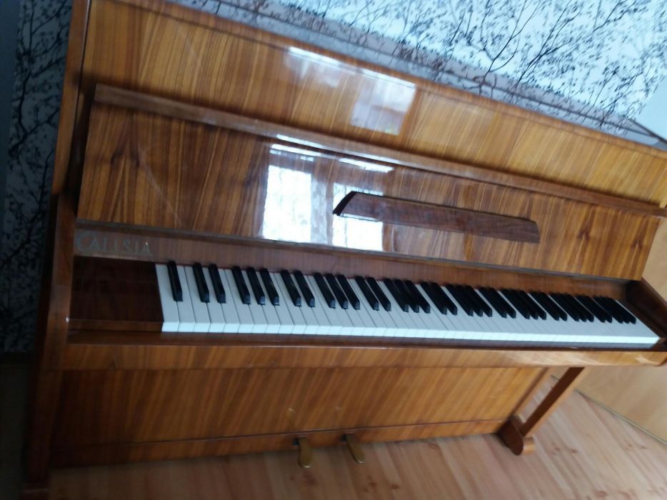 Pianino Calisia M-105
