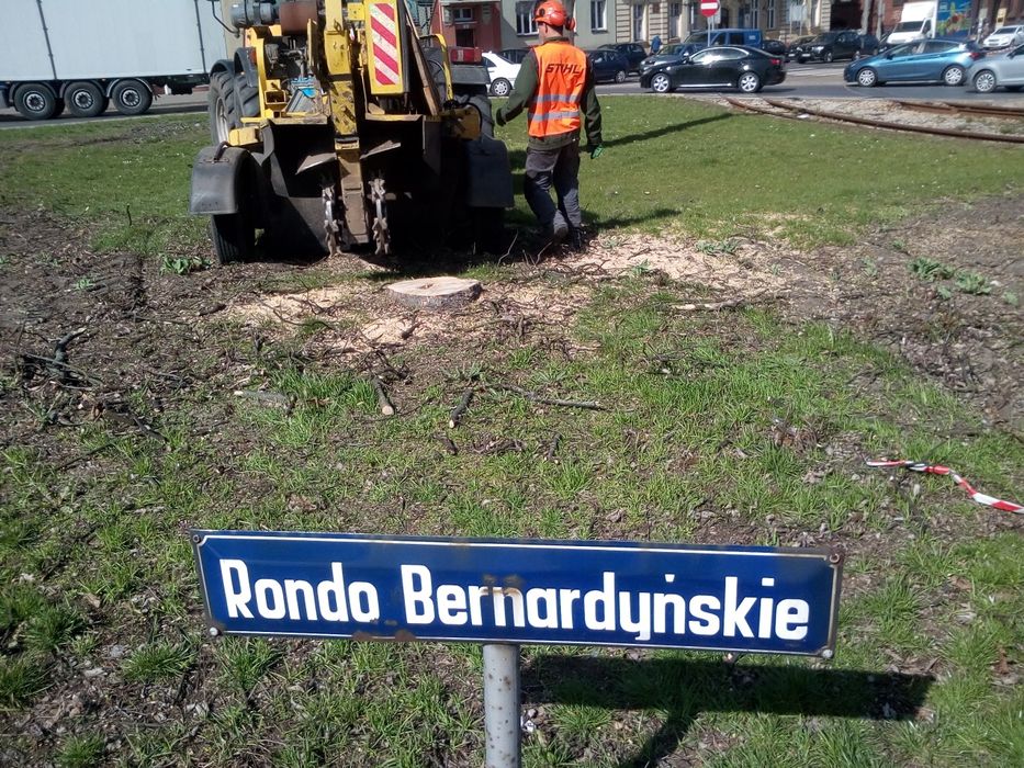 Wycinka wycinanie drzew frezowanie pni rębak usługi