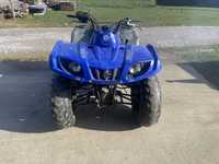 Yamaha grizzly 350 4x4