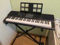 Keybord Casio CTX 800 wraz ze statywem
