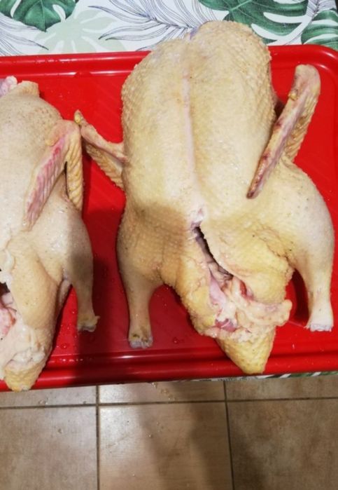 Tuszka kaczki z podrobami