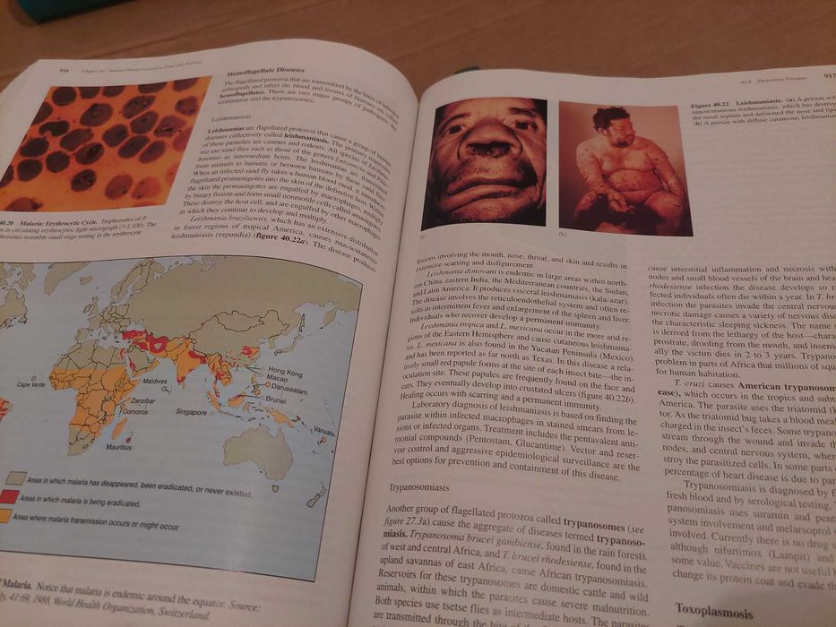 Livro “Microbiology” como novo (Inclui CD), de Prescott Harley Klein