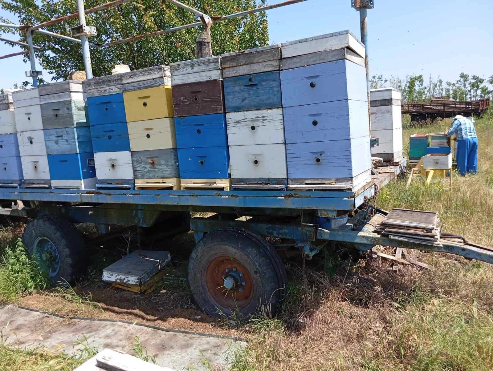 Прицеп для пчел ППУ 32  Производства г. Ташкент
