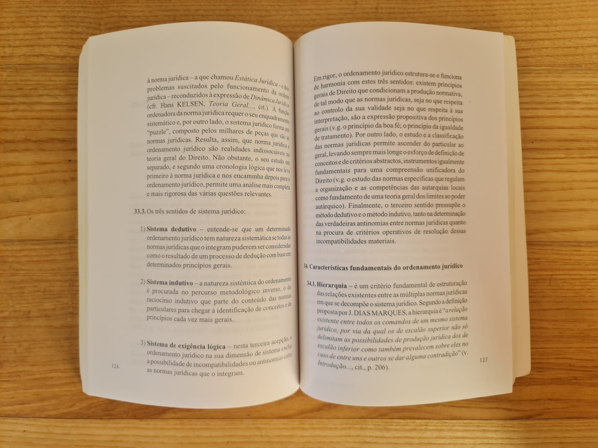 Introdução ao Estudo do Direito - Maria Luísa Duarte - sumários