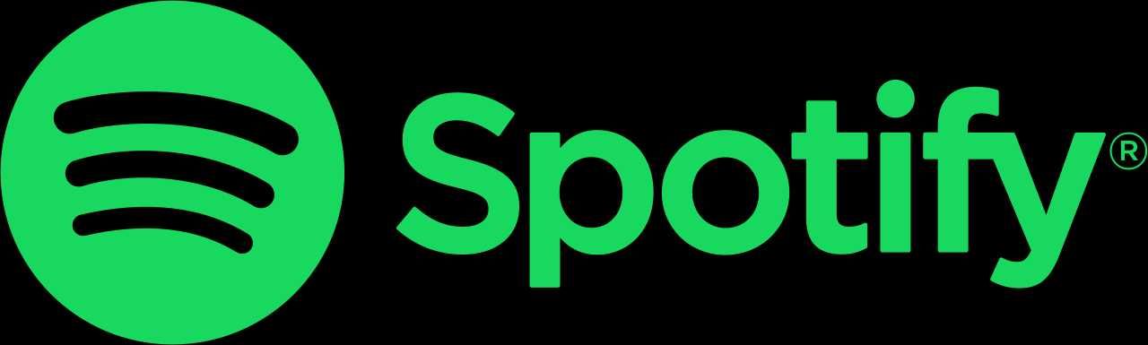 Spotify Premium сімейна підписка (по місячно на вашу пошту)