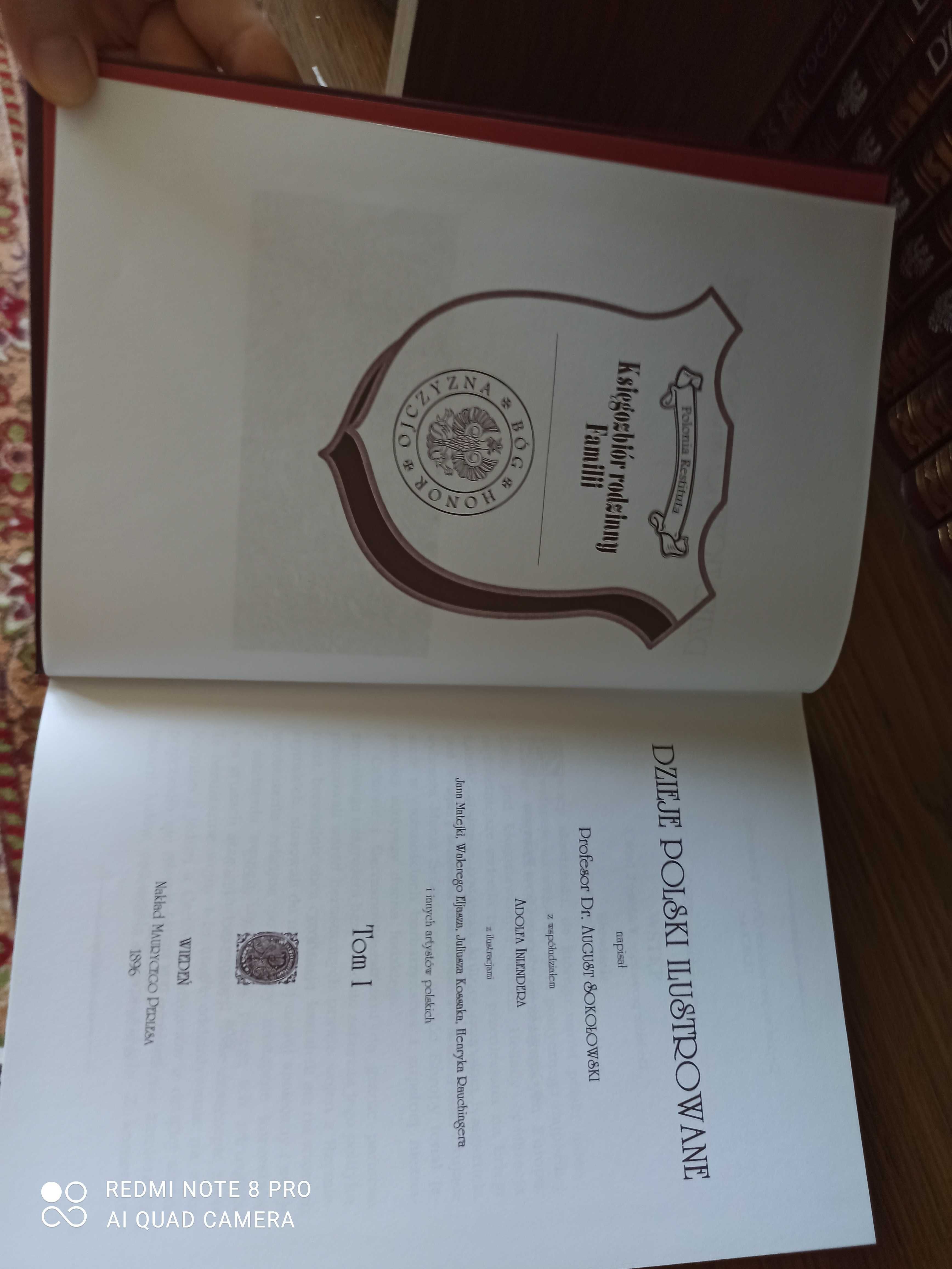 Dzieje Polski Dziedzictwo Narodowe Seria Literacka i Poczet Królów
