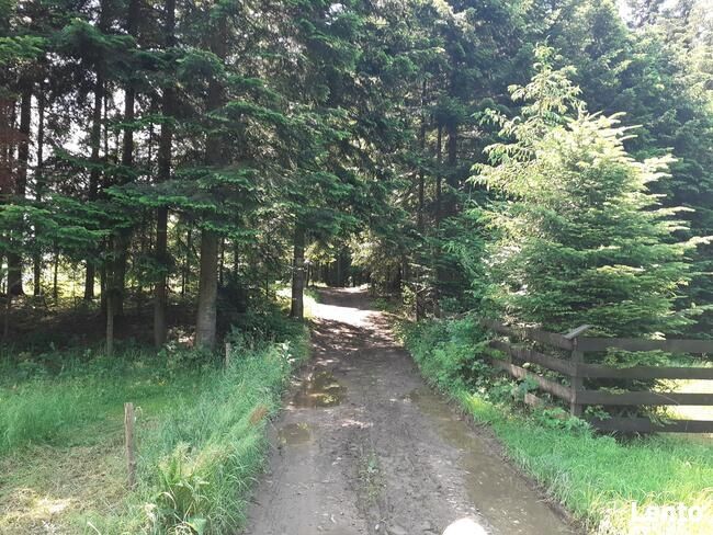 Domki w Beskidach