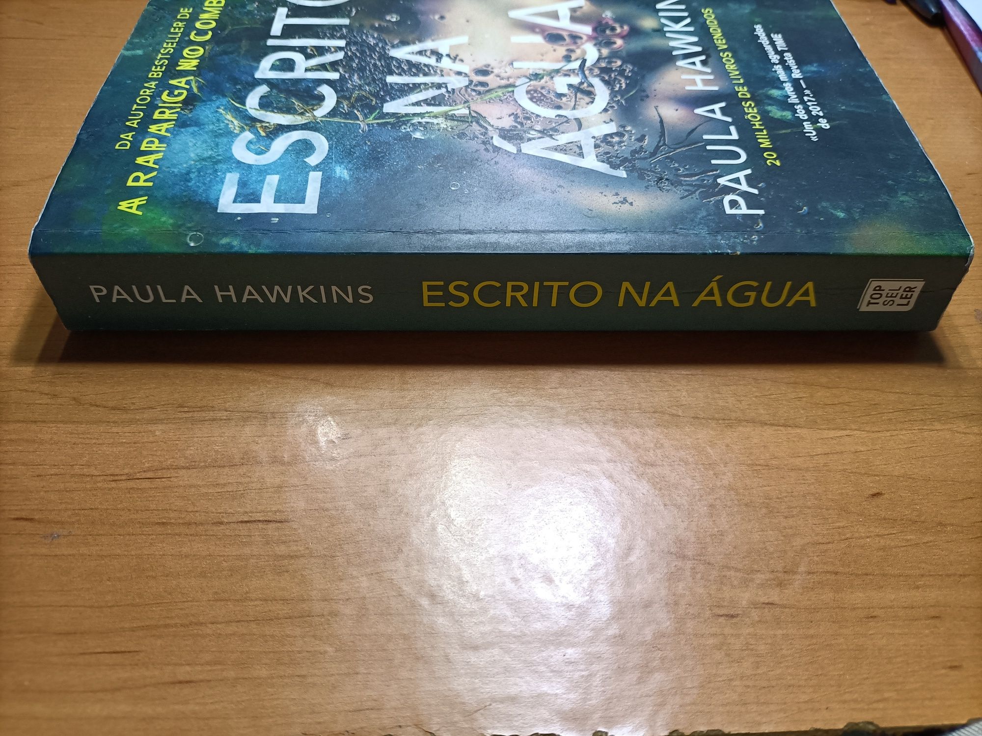 Escrito na água_Paula Hawkins