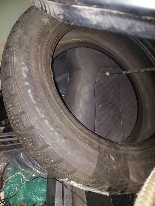Premiorri Viamaggiore 185/60/r15 пара