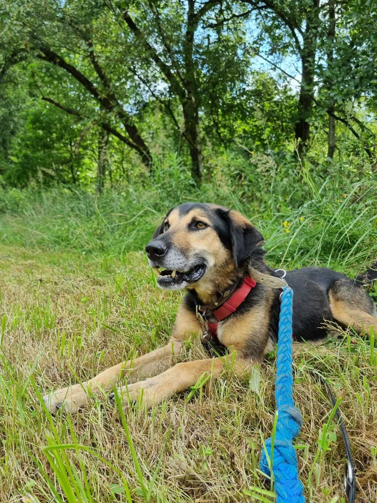 Tylko 1 krok dzieli Cię od poznania najlepszego przyjaciela