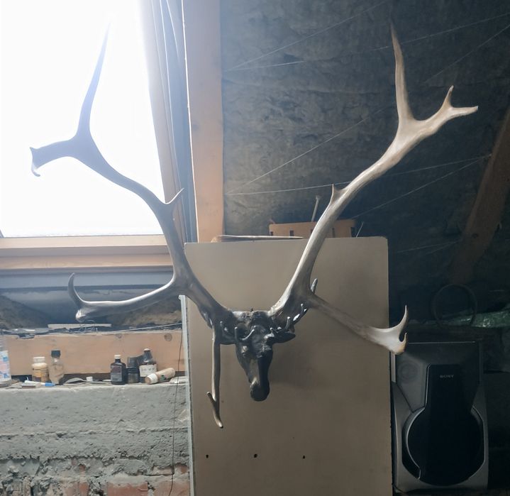 Натуральні роги оленя з металічною мордочкою